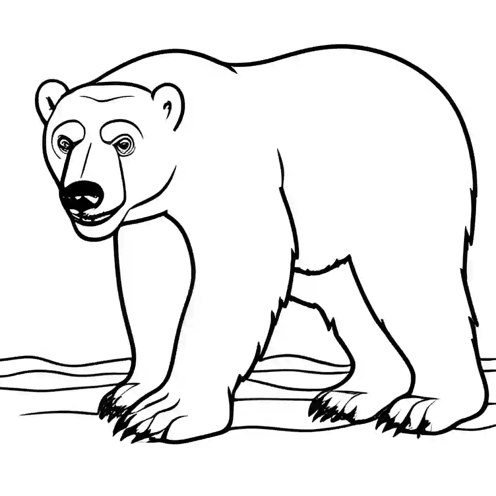 Animals_Polar Bear_8925_.webp
